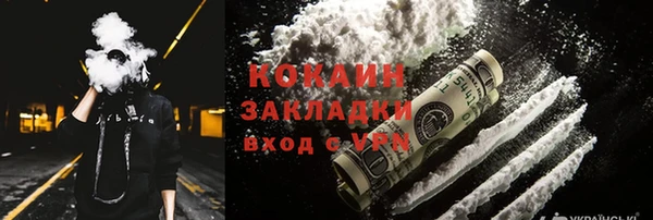 индика Краснотурьинск