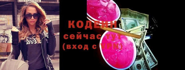 индика Краснотурьинск