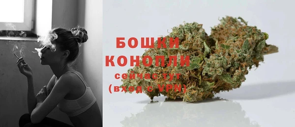 индика Краснотурьинск