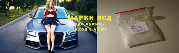 индика Краснотурьинск