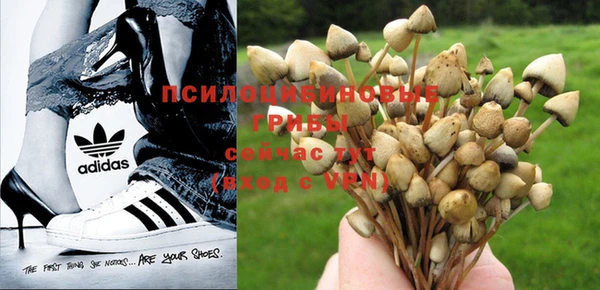кристаллы Краснослободск
