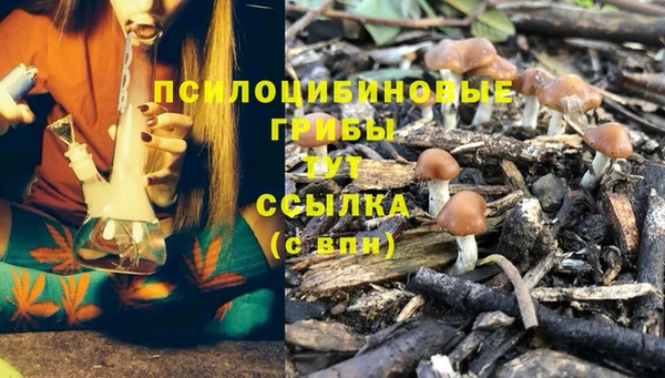 индика Краснотурьинск
