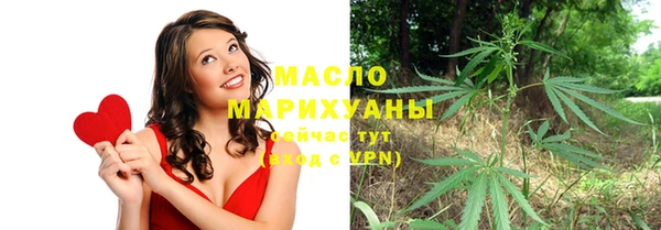 индика Краснотурьинск